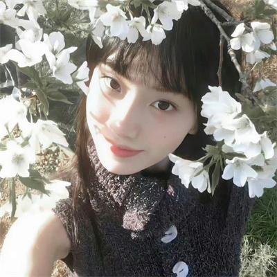 胡狼来了